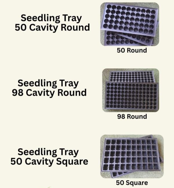 Seedling Trays